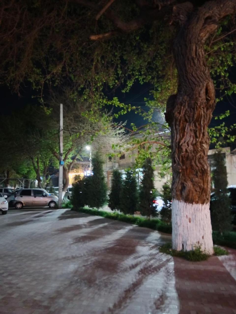 סמרקנד Gulsara Hostel מראה חיצוני תמונה