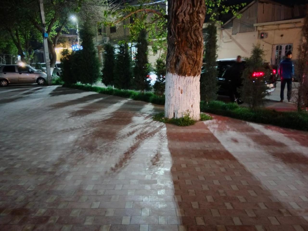 סמרקנד Gulsara Hostel מראה חיצוני תמונה