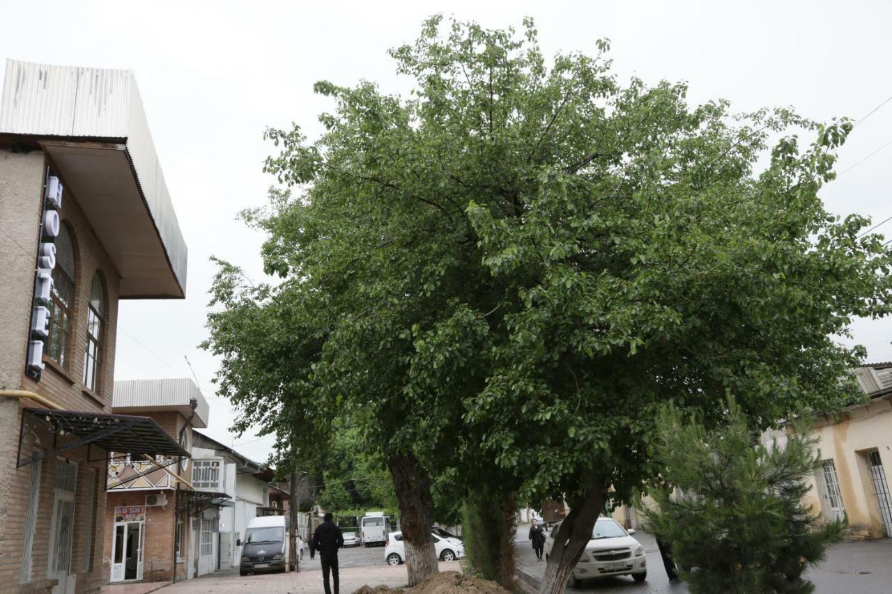 סמרקנד Gulsara Hostel מראה חיצוני תמונה